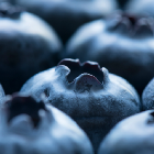 blueberry